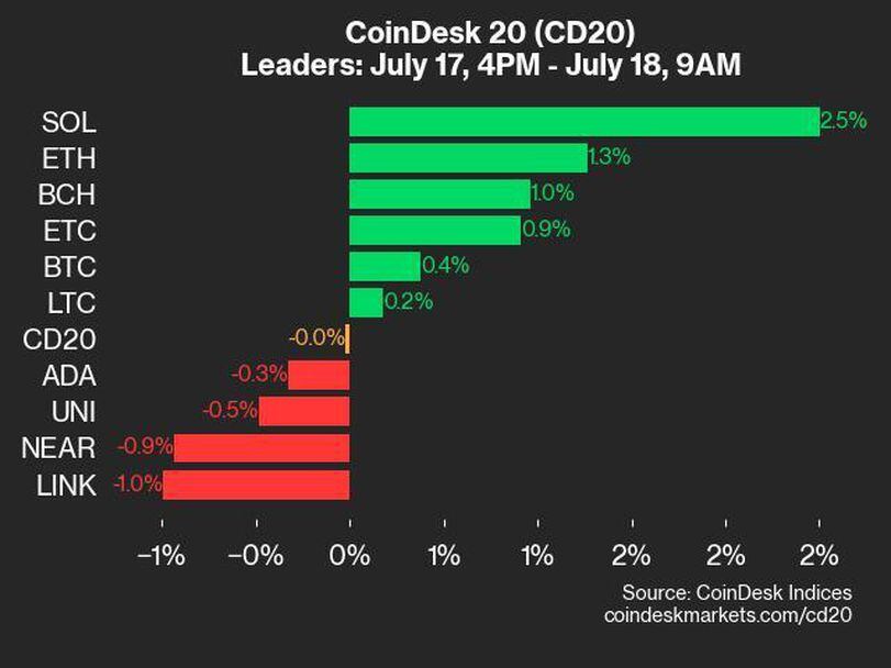 Market Leaders and Laggards