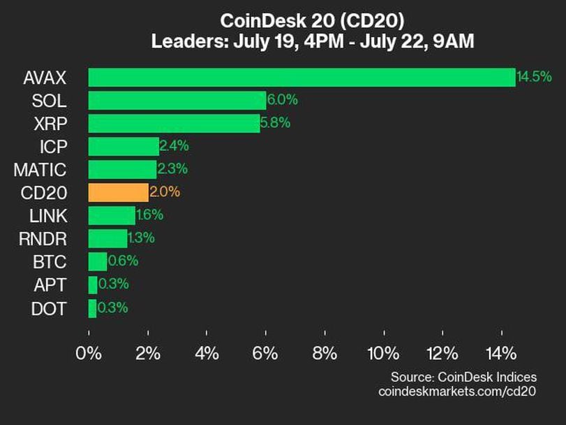 Market Leaders and Laggards