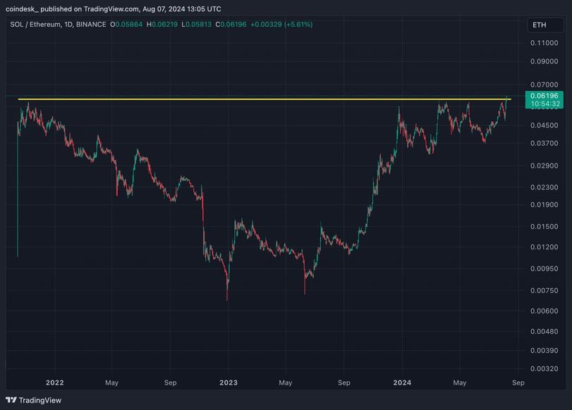 Potential Risks and Future Outlook