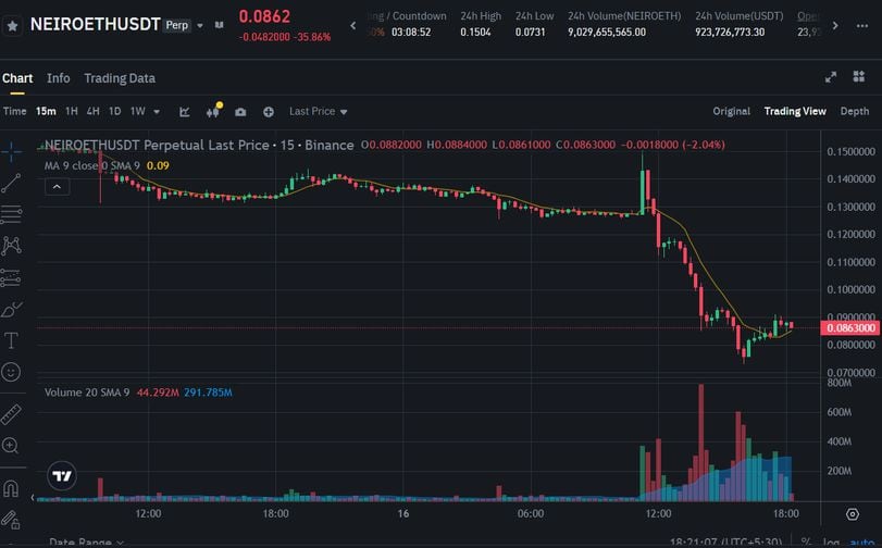 Understanding the NEIRO Token