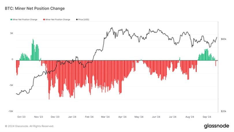 Bitcoin Price and Hashrate Divergence: Analyzing Market Trends