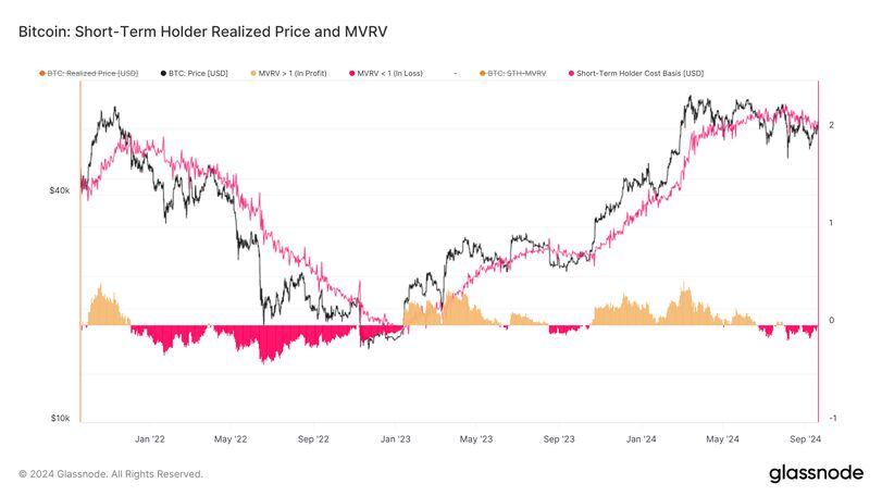 Bitcoin's Price Action and Market Dynamics