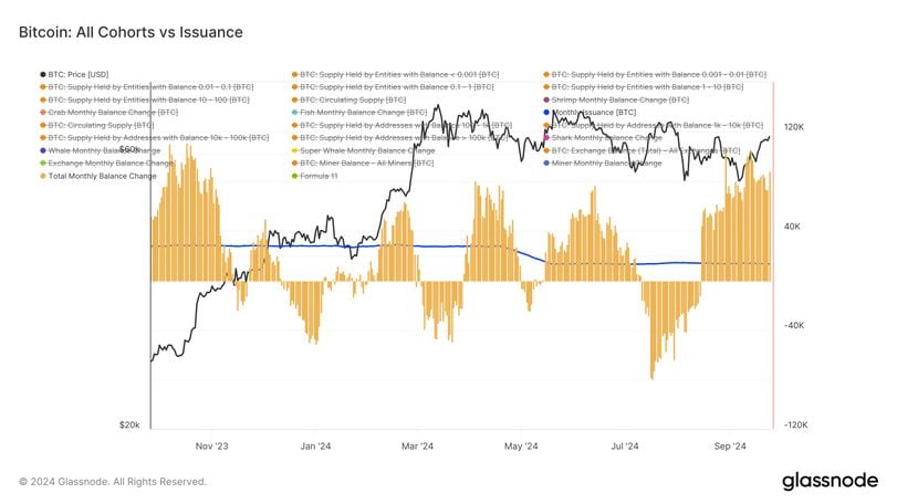 Recent Bitcoin Accumulation Trends: A Comprehensive Analysis