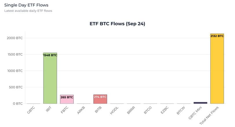 Ethereum ETFs: A Volatile Landscape