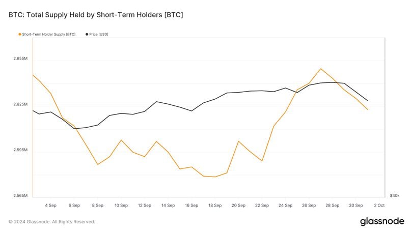 The Role of Short-Term Holders